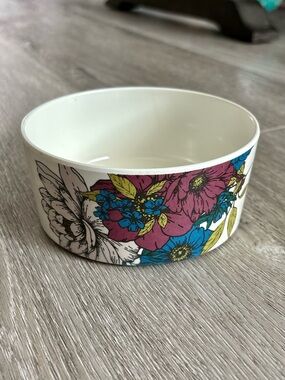 Pet Food Bowl
